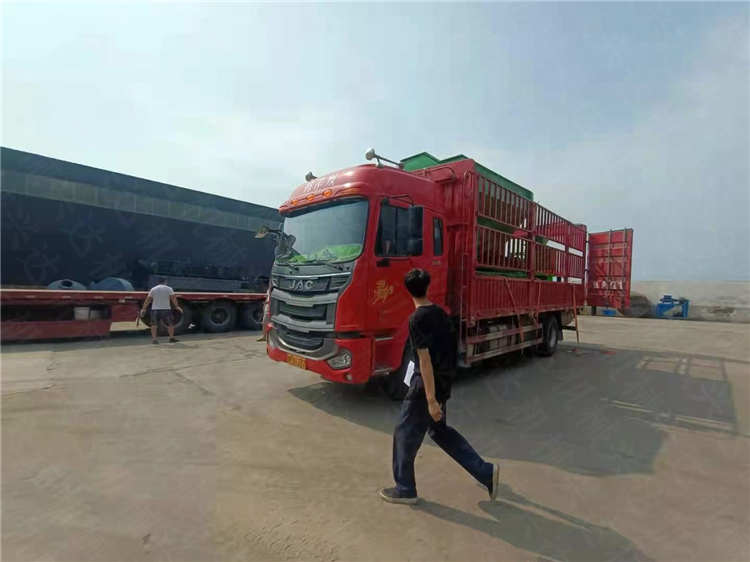 S͑a(chn)O(sh)l(f)؛